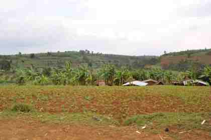 Typical Congolese Landscape